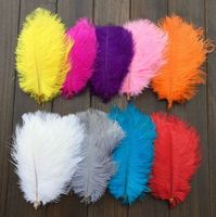 Factory Price 100 14 16inch White Black Red Light Pink Hot Pink Royal Blue Turquoise Orange Purple Ostrich Feather Wedding Centerpiece Z134