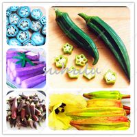 Wholesale 100 Bag Okra Seeds Okra Planting Organic Heirloom Delicious Healthy Vegetable Fruit Seeds Sweet For Cooking Plant For Home Garden