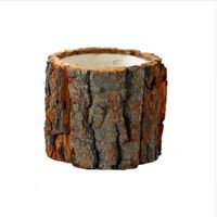 Wholesale Forest Series Bark Shape Succulent Flower Pot Natural Wooden Desktop Small Vase Bonsai Home Decor Fast Shipping
