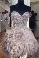 Wholesale Short Silver Prom Dresses With Feathers Sweetheart Corset Graduation Homecoming Dress Beading Bodice Prom Gowns Plus Size