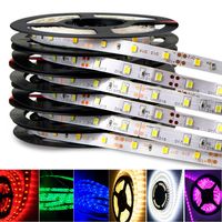 Wholesale 5m roll Decoration light SMD5050 IP65 IP20 Led Strips Light Warm Pure White Red Green RGB Flexible strip Leds dc12V