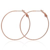 Wholesale TE Titanium steel Small Circle Hoop Earrings For Women Jewelry no stone Rose Gold White Color