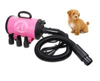 Wholesale Dog Pet Grooming Dryer Hair Dryer Removable Pet Hairdryer Nozzle W V