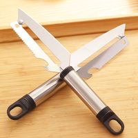 Wholesale Stainless Cutting Tool Fruits And Vegetables Paring Knife For Kichen Fishes Scale Cutter Multifunction Fish yd V