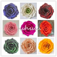 Wholesale Unique Colorful Rose Seeds Ornamental Plants Rrae Flowers Seeds Balcony Potted Beautiful Flower Seeds Mini Potted Tree For Garden