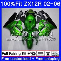Wholesale Injection For KAWASAKI ZX1200 ZX R HM ZX R R CC ZX12R Glossy green Fairing