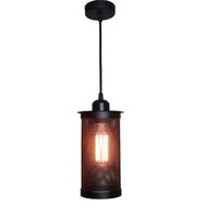 Wholesale Loft Vintage Pendant Lamp Shade Industrial Edison black cage pendant lights iron minimalist retro loft pyram e27 lamps E028