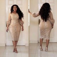 Wholesale 2019 Plus Size Champagne Mother of the Bride Groom Dresses Lace Applique Sleeves Tea Length Wedding Guest Gowns Formal Gowns