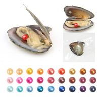 Wholesale 2019 New Freshwater Pearl Oyster Natural Round Loose Pearl mm DIY Gift Decorations Vacuum Packaging