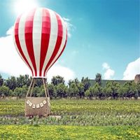 Wholesale Country Style Wedding Photography Backdrops Printed Hot Air Balloon Blue Sky Clouds Yellow Flowers Spring Scenic Photo Studio Background