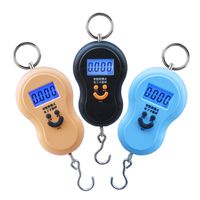 Wholesale Mini Kg g Portable LCD Display Luggage Fishing Hook Electronic Weight Digital Scale Pocket Weighing Hanging Scale