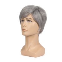 Hot Mode Hommes Perruque 6 Pouces Court Gris Couleur Naturel Cheveux Mâle Droite Hairstyles Résistant à La Chaleur Fibe Rpull Perruques