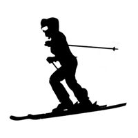 Wholesale passionated youth styling skiing sports decal car sticker ca