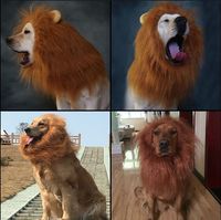 2018 Pet Hair Ornaments Costume Chat Halloween Vêtements Fantaisie Dress Up Perruque De Lion Pour Les Grands Chiens Blanc Noir Brun