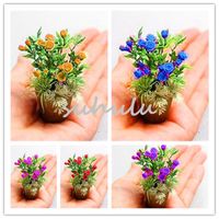 Wholesale New Seeds Rare Mini Rose Bonsai Seeds White Heart Pink Side Rose Seed Plants Potted Rose Rare Flower Seeds Balcony