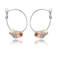 Wholesale hot selling Austrian crystal stainless steel hoop earrings for women gold color plated mujer rock party womens accessories