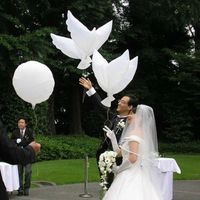 Wholesale Eco Flying White Dove Balloons Helium Pigeon Wedding Decoration Globos Peace Bird Air Ball Party Supplies Photo Props