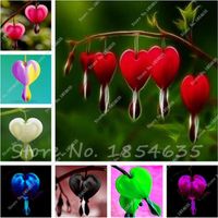 Wholesale 50 Lily of the Valley Flower Seed Bell Orchid Seed Rich Aroma Bonsai Flower Rhizome Indoor Plant Look Like Love Heart