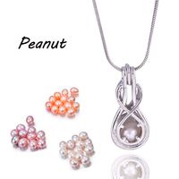 Wholesale New Arrival Love MM Rice Pearl Cages Pendant Hollow Out Peanut Hearts Gun Parrot Building Silver Plated DIY Fashion Jewelry Gift PP15