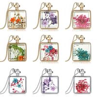 Wholesale natural plant real dried flower necklaces drifting bottle pendants glass ball pendant necklace sweater chain for women