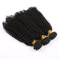 Wholesale Cheveux vierges brésiliens human hair for braiding malaysian curly hair BUNDLES body wave hair weaves water wave straight human weave