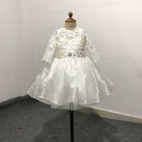 Wholesale Real Picture Short Crystal Lace Flower Girl Dresses First Communion Dress For Little Girl A Line Kid Birthday Party Dress Pageant Gown