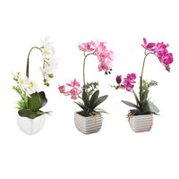 Wholesale 1set Silk Real Touch Home Decor Artificial Phalaenopsis Orchid Flower Arrangement Small Bonsai Plants With Ceramic Flower Pot