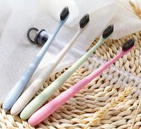 Wholesale Envriomental Friendly Wheat Stalk Toothbrush Bamboo Charcoal Teethbrush Soft Portable Toothbrush for Adult and Kids Travel Use PVC Tube Pack