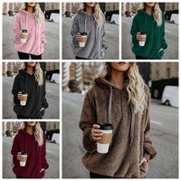 Wholesale 6 Colors Solid Color Sherpa Pullover Thick Hoodies Streetwear Women Casual Zipper Collar Sherpa Hoodies Sweater Sweatshirts CCA10391