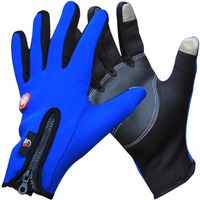 Wholesale Outdoor Winter Thermal Sports Bike Gloves Windproof Warm Full Finger Cycling Ski Motorcycle Hiking Glove for Phone Touch Screen