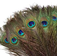 Shop Wedding Vases Feathers Uk Wedding Vases Feathers Free