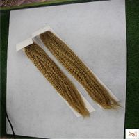 Bleaching Permed Hair Nz Buy New Bleaching Permed Hair Online