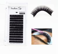 Wholesale Seashine Makeup Synthetic Eyelashes Hand Made Individual Lashes Lines J B C C D L Individual Lashes Extension Supplies Accept OEM