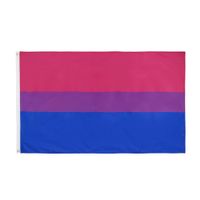 Wholesale 90x150cm x5 fts LGBT pride Rainbow bisexuality bi bisexual Flag direct factory double stitched