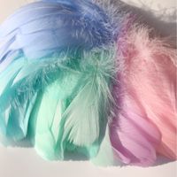 Wholesale Party Decoration CM Turkey Marabou Feathers Fluffy Wedding Dress DIY Jewelry Decorations decorative Accessories Feather Holiday decor
