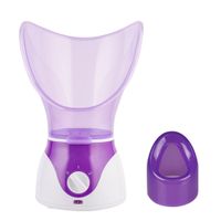 électrique Accueil Visage Spa Nettoyage Machine à Vapeur Huile Essentielle Faciale Sauna Spa Nez Hydratant Visage à La Vapeur équipement De Soins De