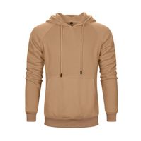 Wholesale New Autumn winter Men clothing hoodies Sweater Jacket pullover Sport Coat male hooded Sweatshirts stone size S XXL