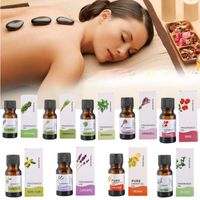 Wholesale 10ml Fragrance Essential Oils for Aromatherapy Diffusers Natural Essential Oil Skin Care Lift Skin Plant Fragrance oil