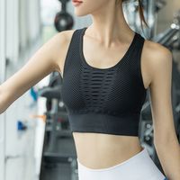 padded sports bra nz