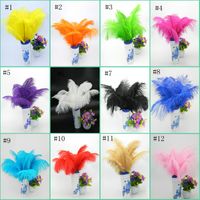 Wholesale 30 cm High Quality Dyed Large Ostrich Feather Ostrich Hair Bleached Ostrich Hair Regular Color Stock EEA515