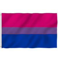 Wholesale Polyester Flag hanging cm LGBT bi pride bisexual Flag For Decoration