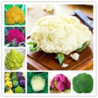 Shop Organic Heirloom Vegetable Seeds Uk Organic Heirloom Vegetable Seeds Free Delivery To Uk Dhgate Uk