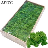 Wholesale Decorative Moss Buy Cheap Decorative Moss 2020 On Sale