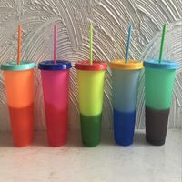 Wholesale Cold Corlor Change Mug cup with Lid and Straw Food grade PP Magic Thermosensitive Cup Creative Gift Cups for Kids ml YSY99Q