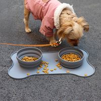 Wholesale Silicone Folding Pet Bowl for Dog Feeding Portable Double Pet Bowls Travel Cat Feeder Dish Bowl Outdoor Water Food Container Folding Bowls