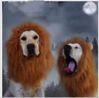 Black Dog Fancy Dress Costume Online Wholesale Distributors Black
