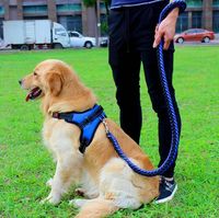 Wholesale Nylon Harnesses for Dog Thicken Dogs Harness High Quality Harnais Chien Outdoors Harnas Hond Harness Leash Suit for Large Dog