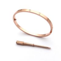 Wholesale Love bracelets Bangles For Women Stainless Steel Gold Silver Rose Gold Screwdriver Bracelets Wristband thin lovers Bracelet Women