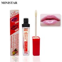 Wholesale Lip Plumper MINISTAR Sexy Lips Gloss Moisturizing Waterproof Liquid Lipstick Long Lasting Super Volume Plump Lip Gloss lips makeup