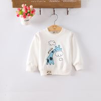 baby sweatshirt nz